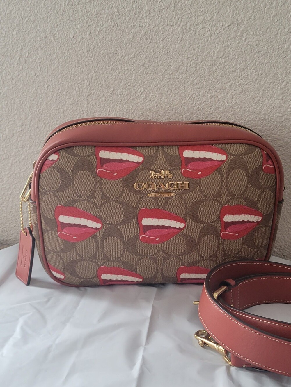 Coach X Tom Wesselmann Jamie Camera Bag